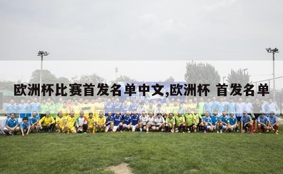 欧洲杯比赛首发名单中文,欧洲杯 首发名单